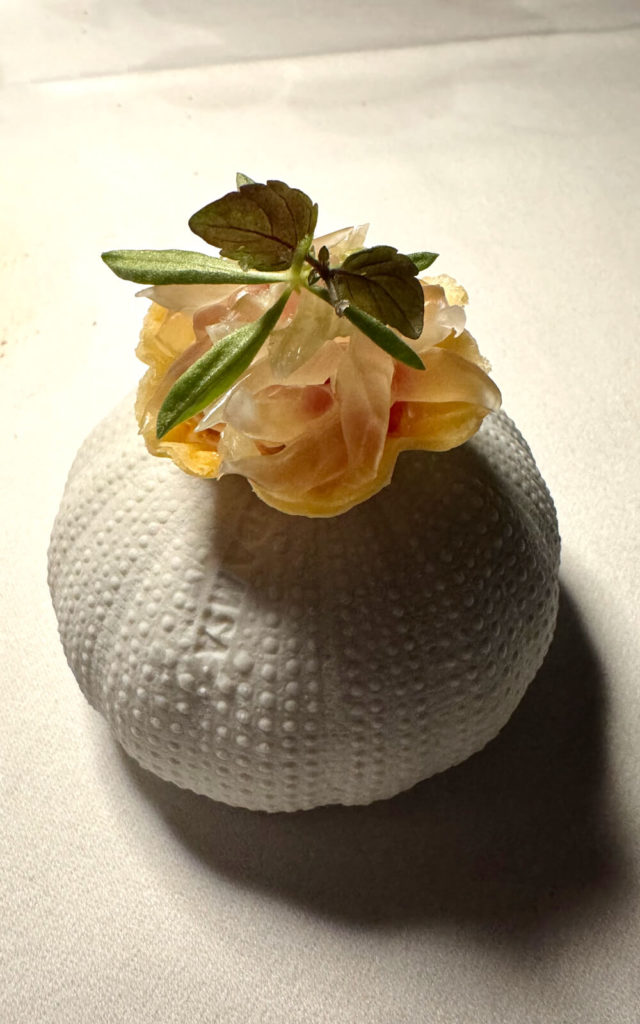 Cyann - Mahé - Seychelles - Table d'exception - Menu végétarien - enseigne végétarienne - plat10