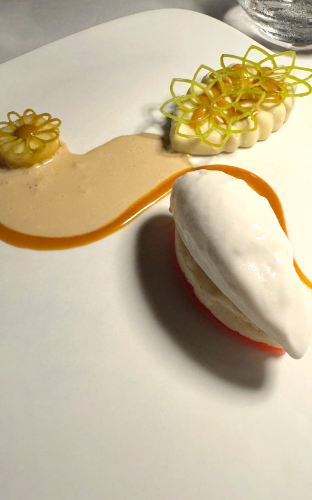 Cyann - Mahé - Seychelles - Table d'exception - Menu végétarien - enseigne végétarienne - plat5